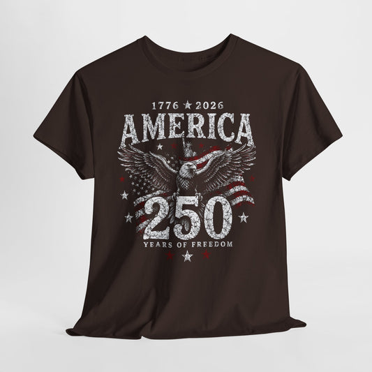 250 Years America #6 Unisex Heavy Cotton Tee