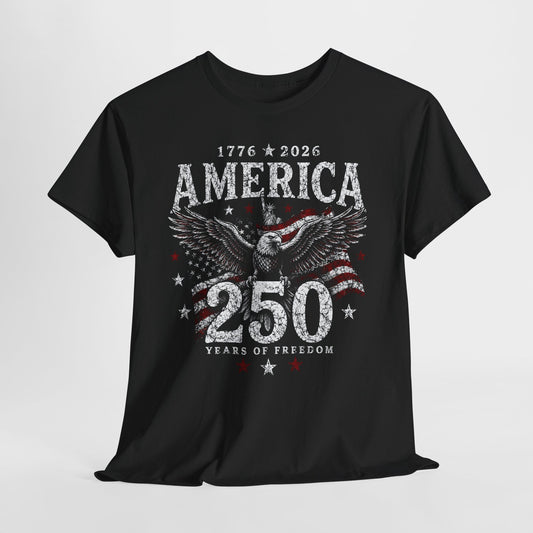 250 Years America #6 Unisex Heavy Cotton Tee